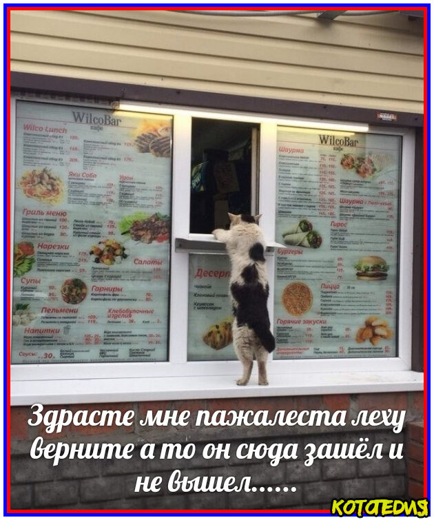 А кусцать хосцется!