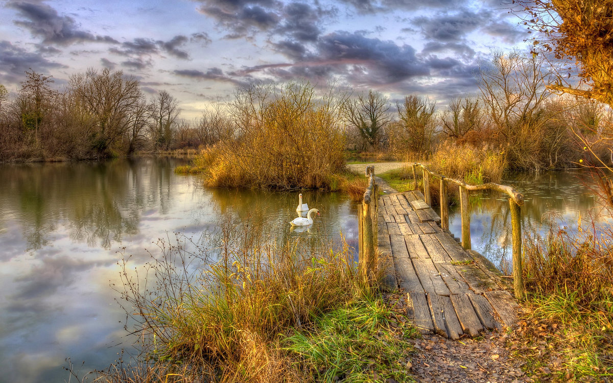 фото с yandex.ru