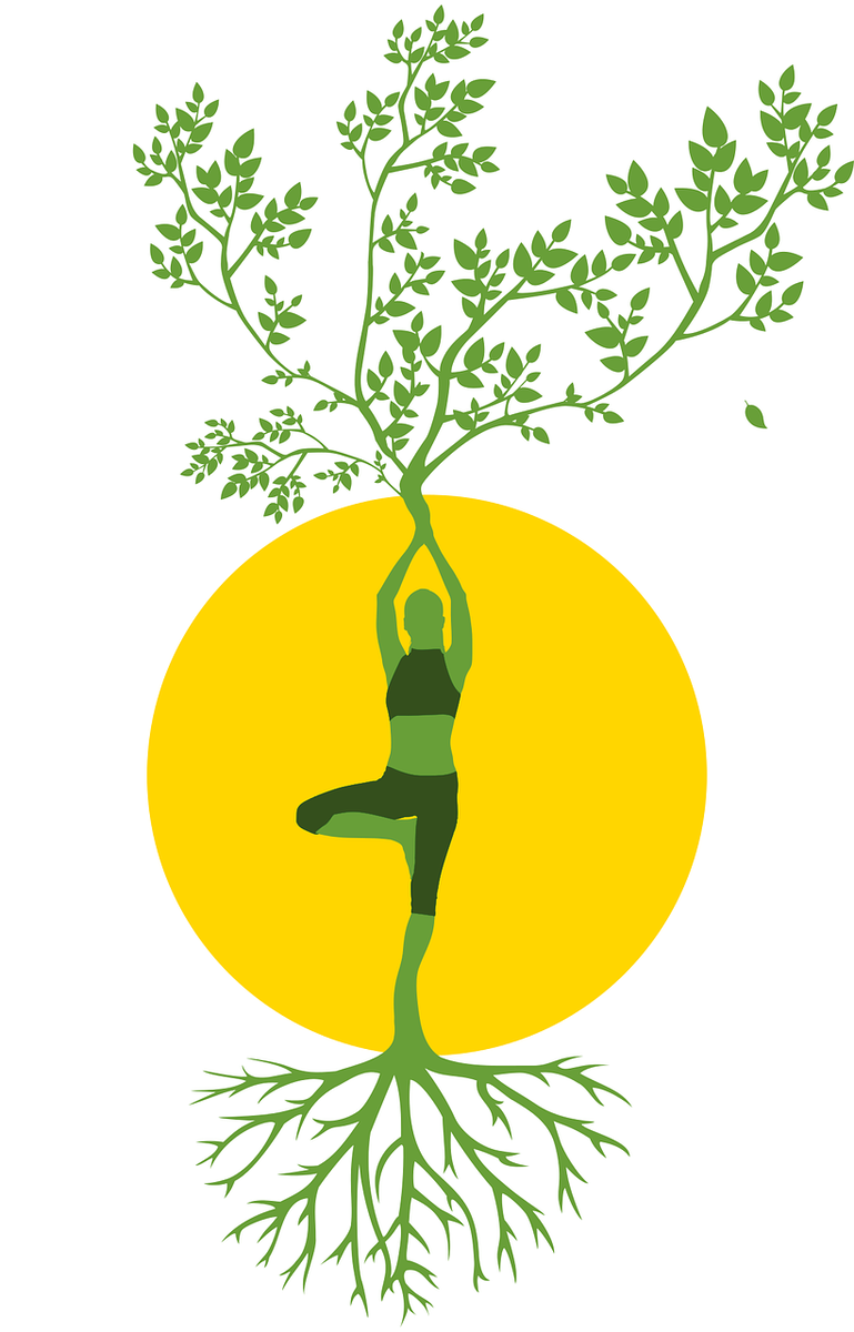 Источник: https://pixabay.com/ru/ 