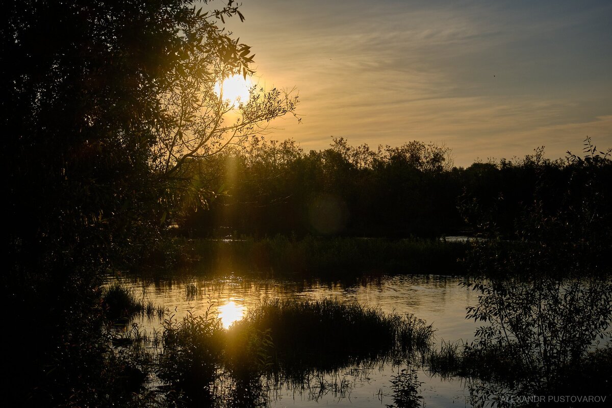 Это присказка, а сказка... все же будет впереди)