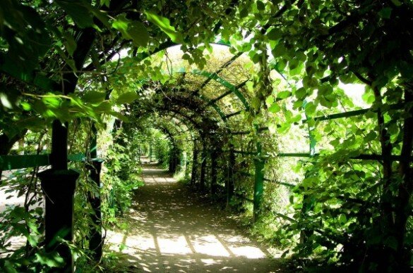 Фото: pixabay.com 