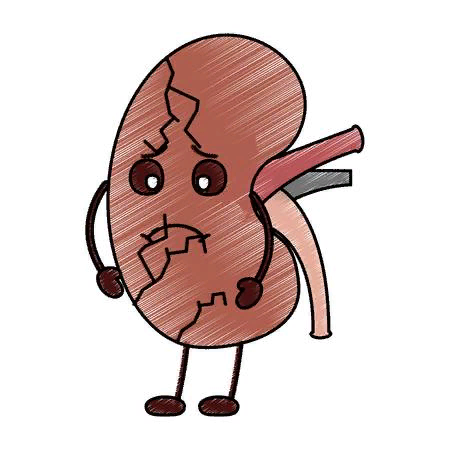 https://us.123rf.com/450wm/yupiramos/yupiramos1802/yupiramos180208776/95145022-cartoon-human-kidney-sick-character-vector-illustration-drawing-design.jpg?ver=6