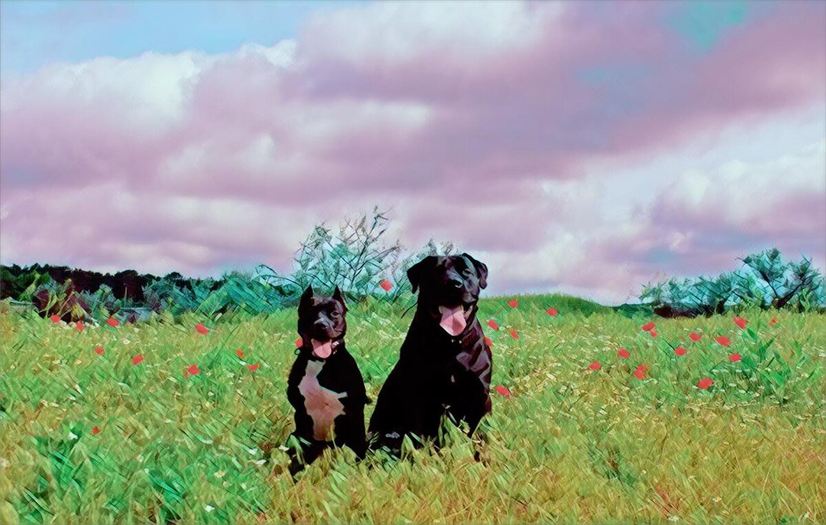 Фото из личного архива 