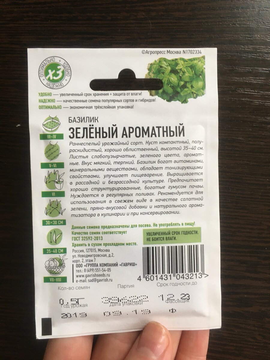 В домашних условиях не дорастает до 35-40 см, хотя мой еще не остановился в росте, так что все возможно)