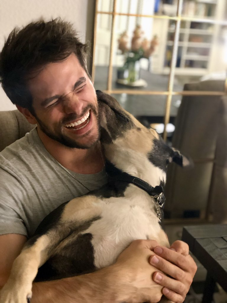 Брэнт Догерти