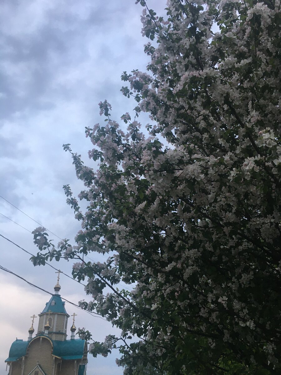 У церкви