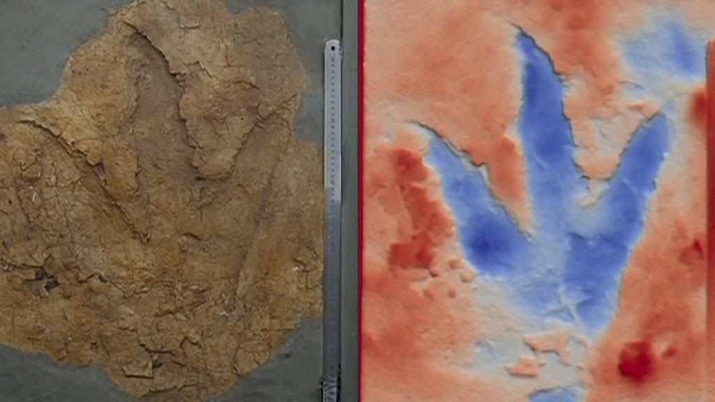 Один из отпечатков, проанализированных в исследовании. Фото: университет Квинсленда 
