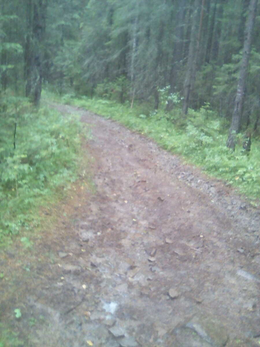 Сначала так