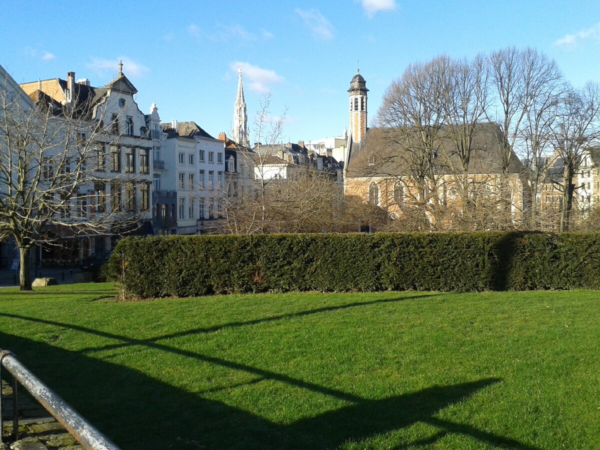 Ослепительный во всех смыслах январский Брюссель