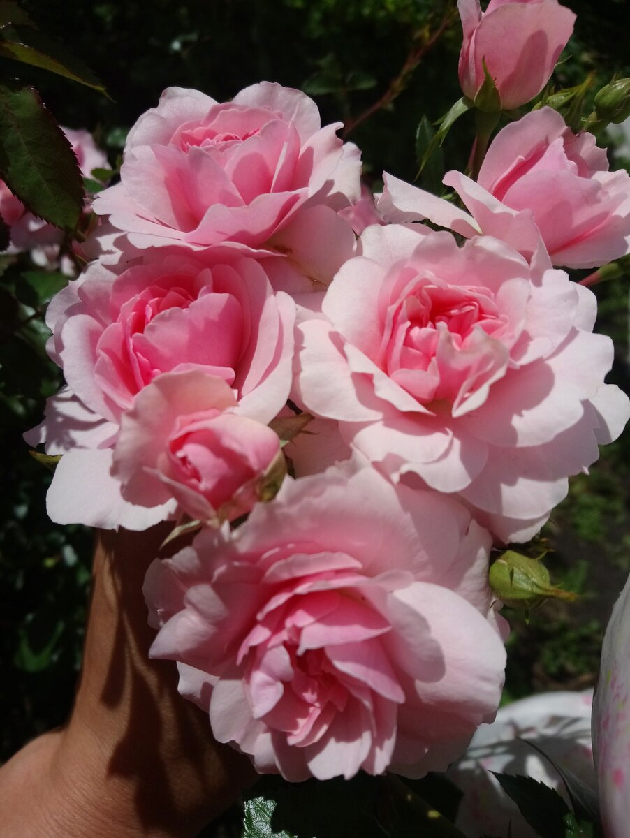 Из личного архива