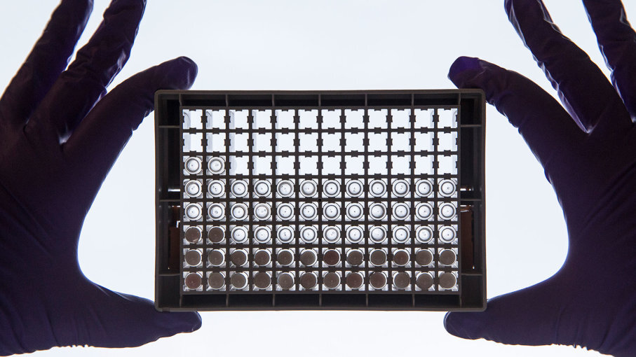 Ученый изучает клетки в 96-луночной пластине в Кембриджском Институте исследований рака Великобритании в декабре. 9, 2014, в городе Кембридж, Англия.