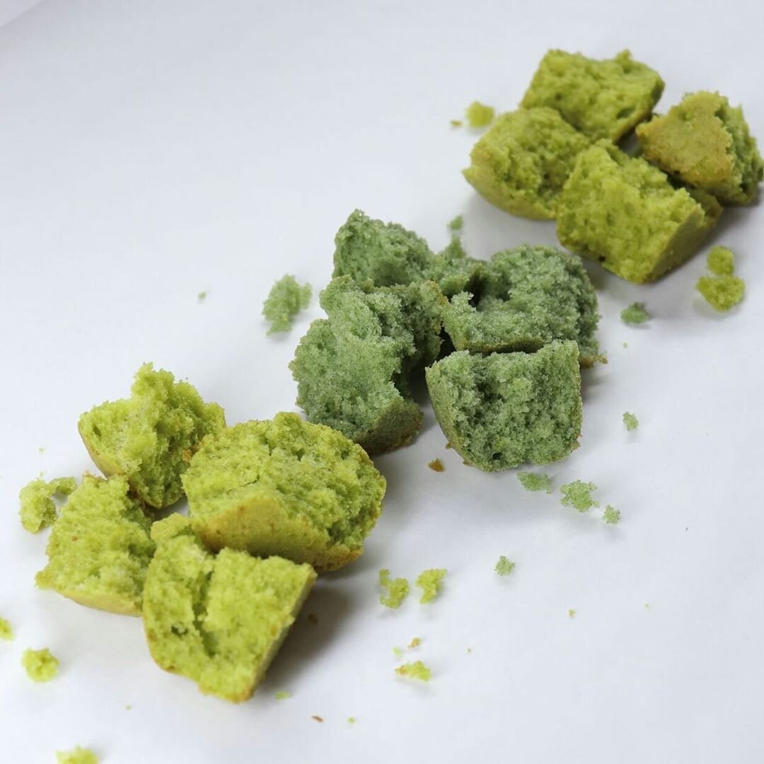 Бисквит окрашен порошками из молотых побегов ячменя, зеленой спирулины и молотых побегов пшеницы