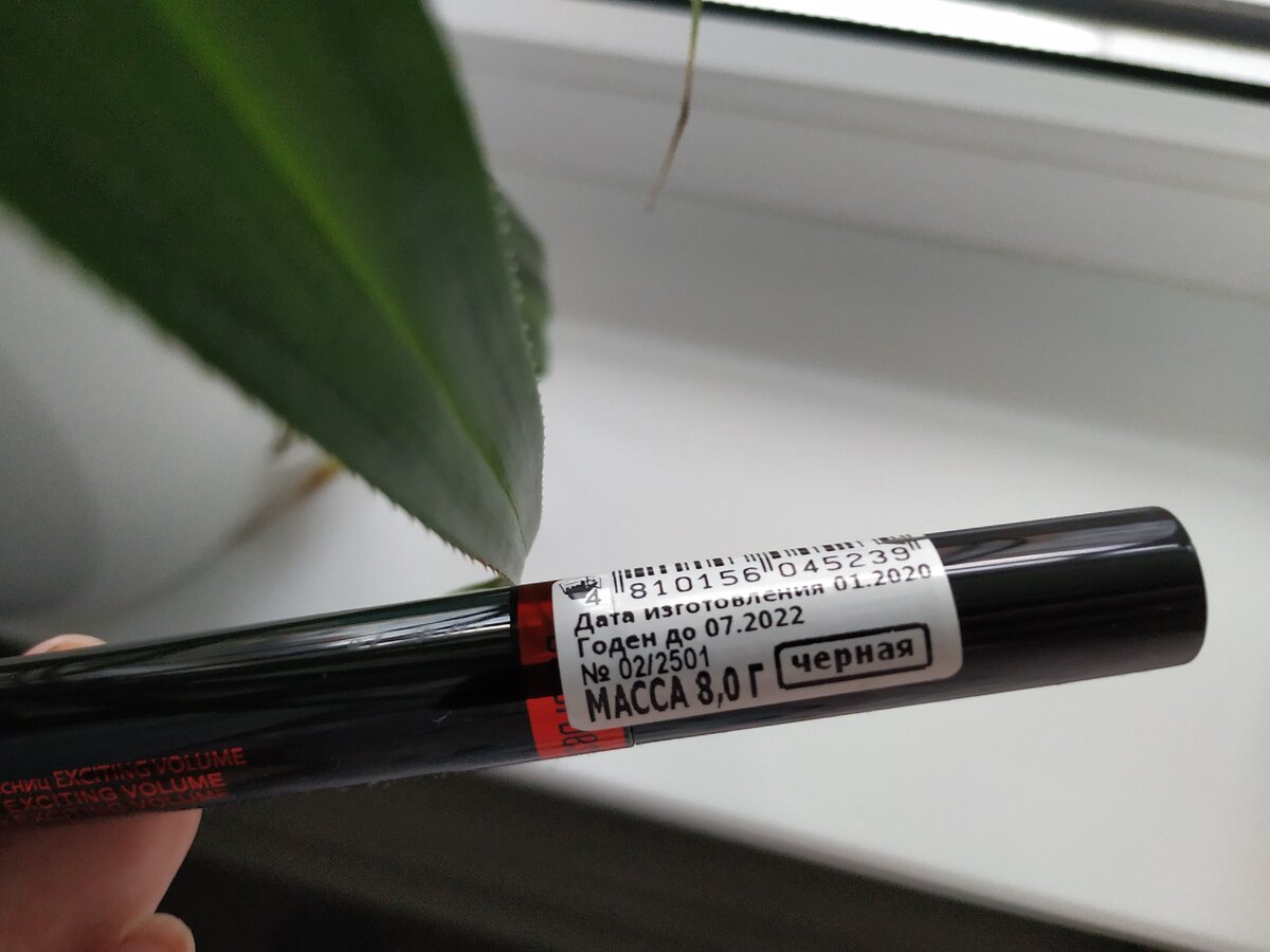 Фото автора