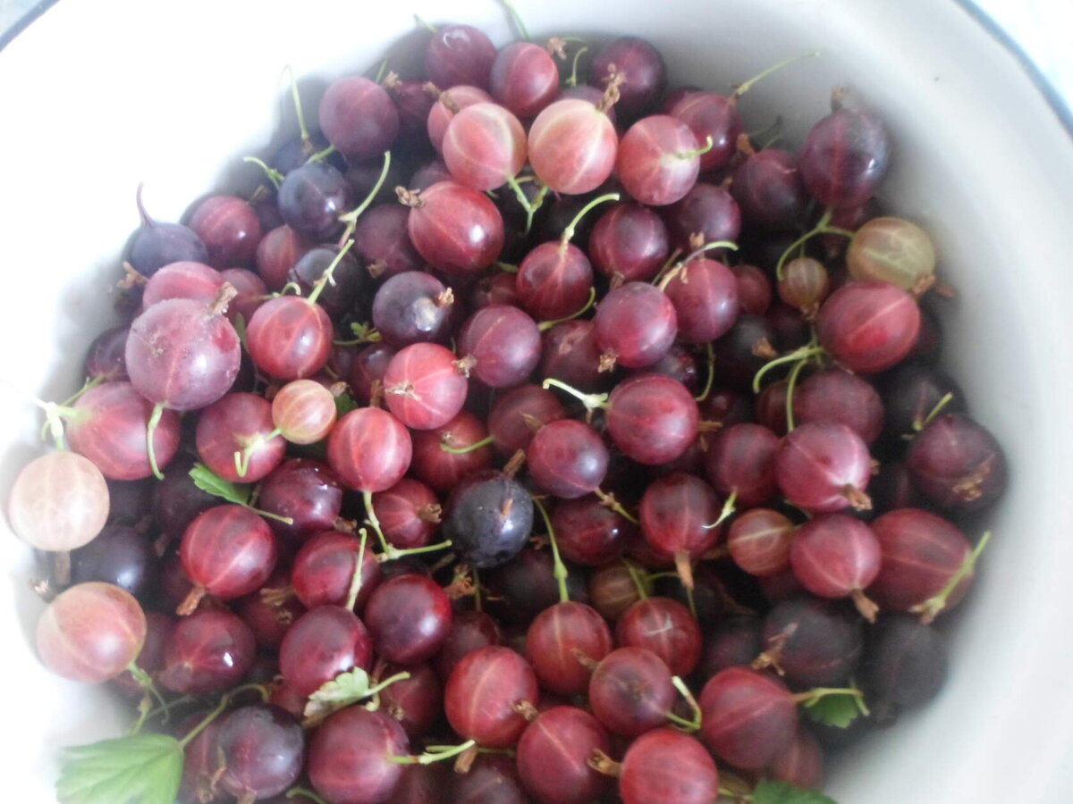 Варенье из крыжовника