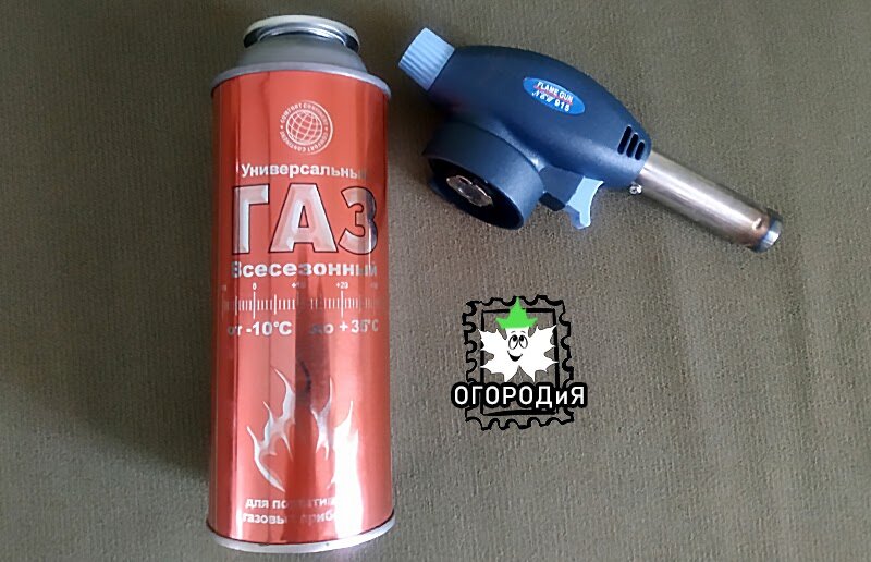 Этой штукой разожгли фитофторник