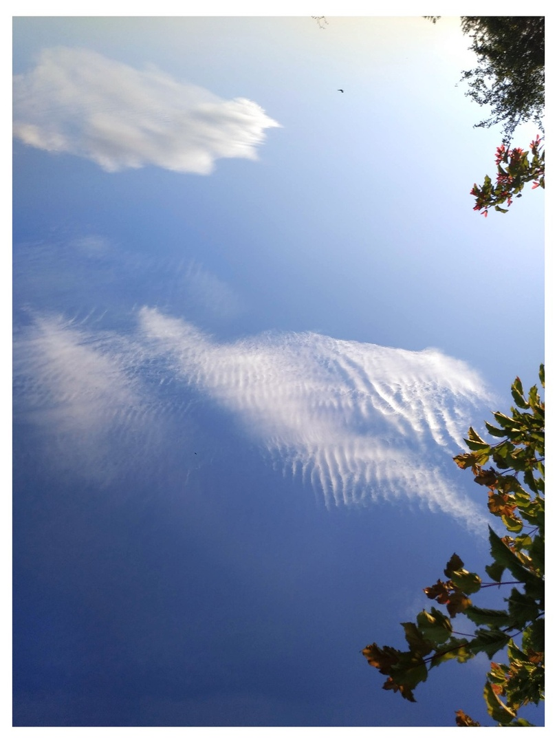 фото Инессы Ковалёвой