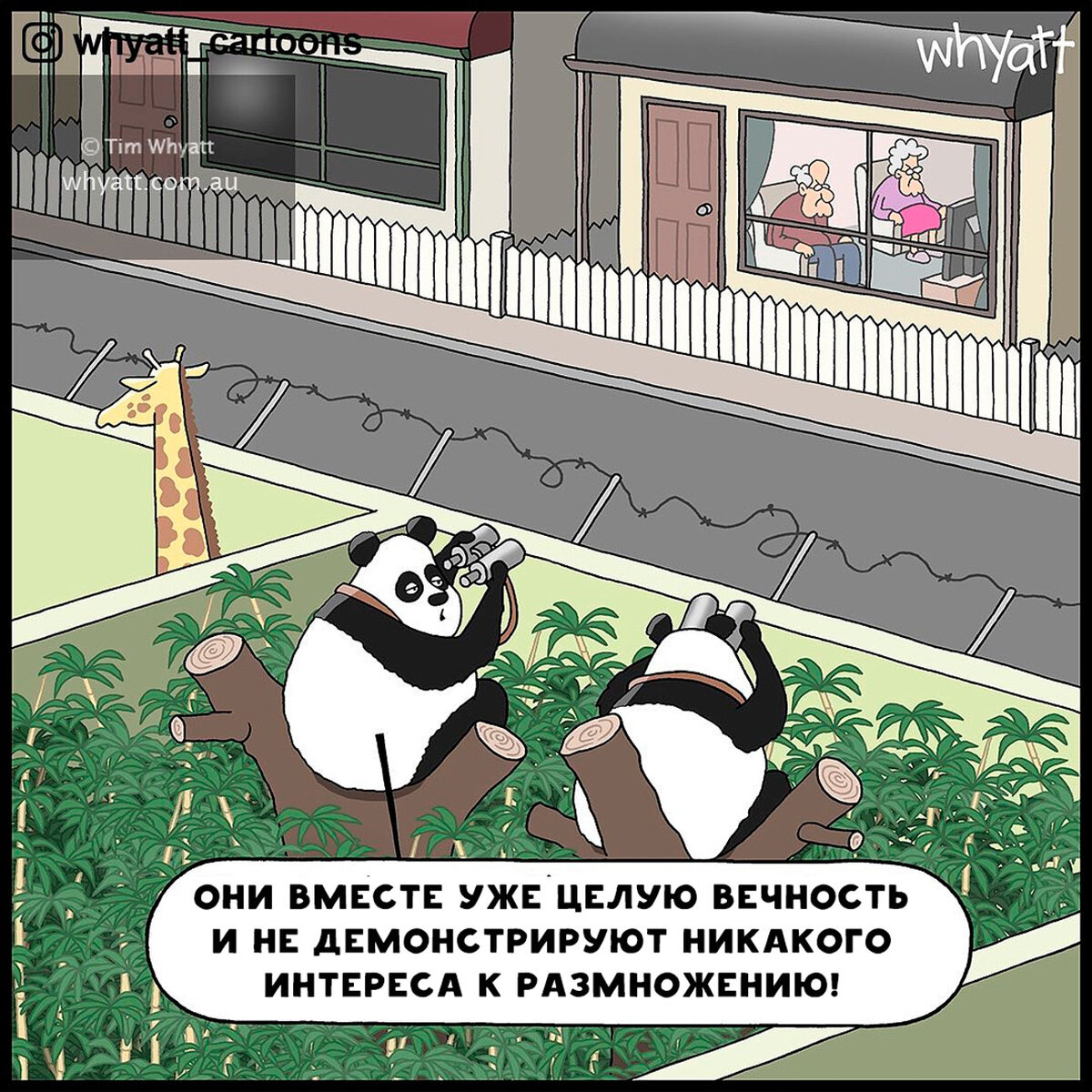 Так вот почему так плохо растет популяция панд. 