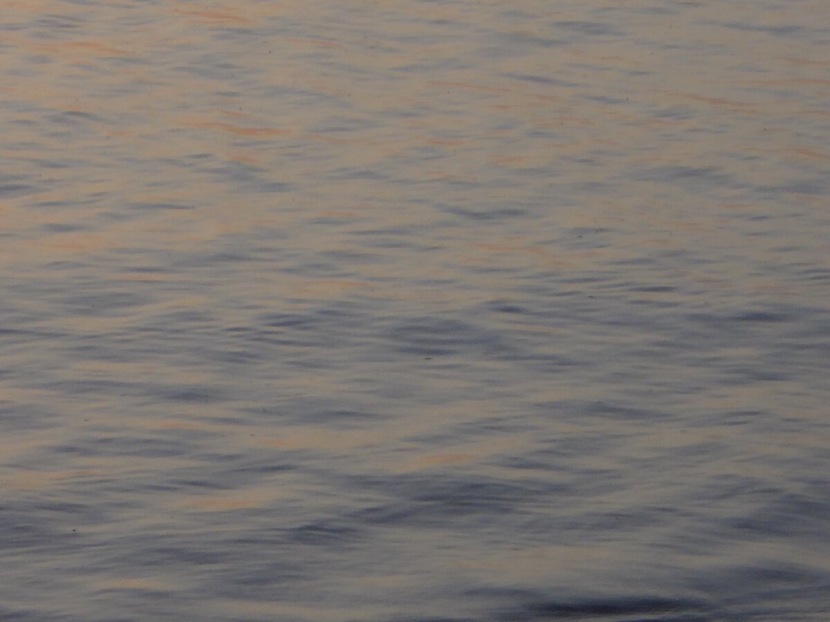 Фото автора: Наша речка