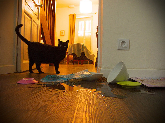 Фото взято из яндекс картинки.