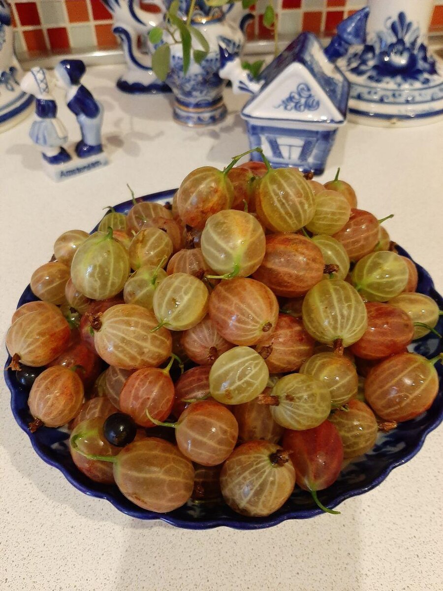 Фото автора.