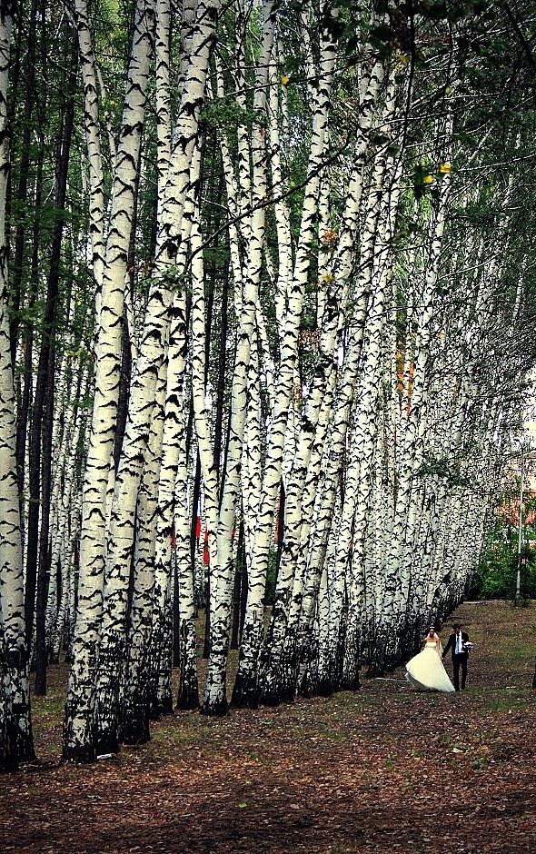 Парк Победы Уфа