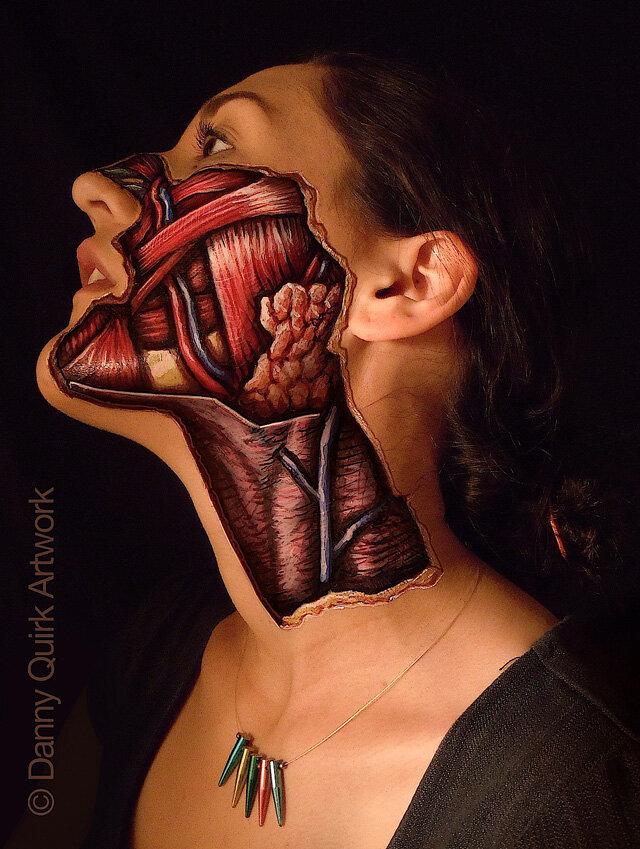 Anatomical Illustrator Danny Quirk.  