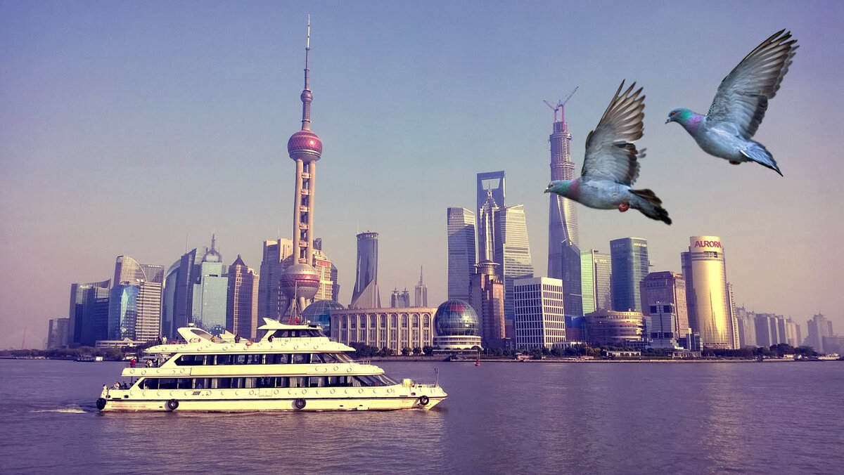 Оформление канала - Элина Школьник (elina.uchenik@yandex.ru)