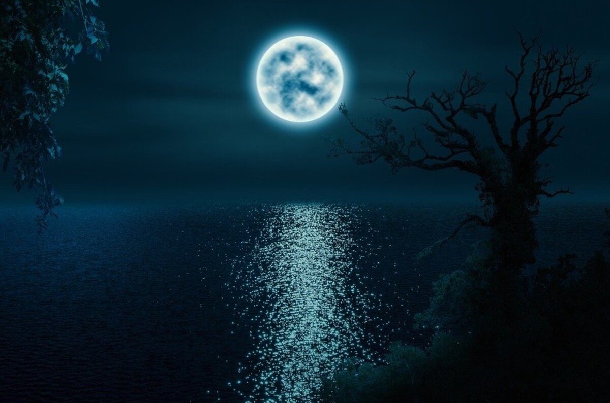  Фото: DarkWorkX с сайта Pixabay