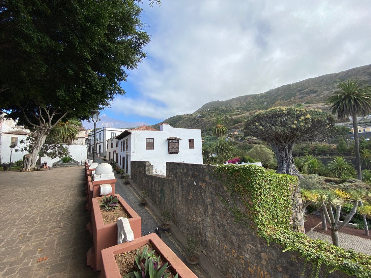 Икод-де-лос-Винос, Тенерифе, Испания