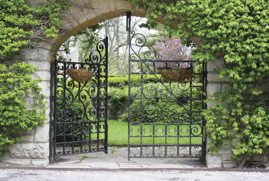 Картинка из Яндекса. Для иллюстрации