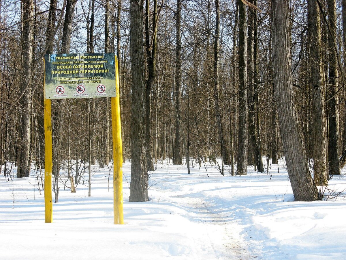 Липовая гора пермь автобус. Тропа здоровья Пермь Липовая гора. Экологическая тропа Липовая гора. Тропа здоровья Токсово.