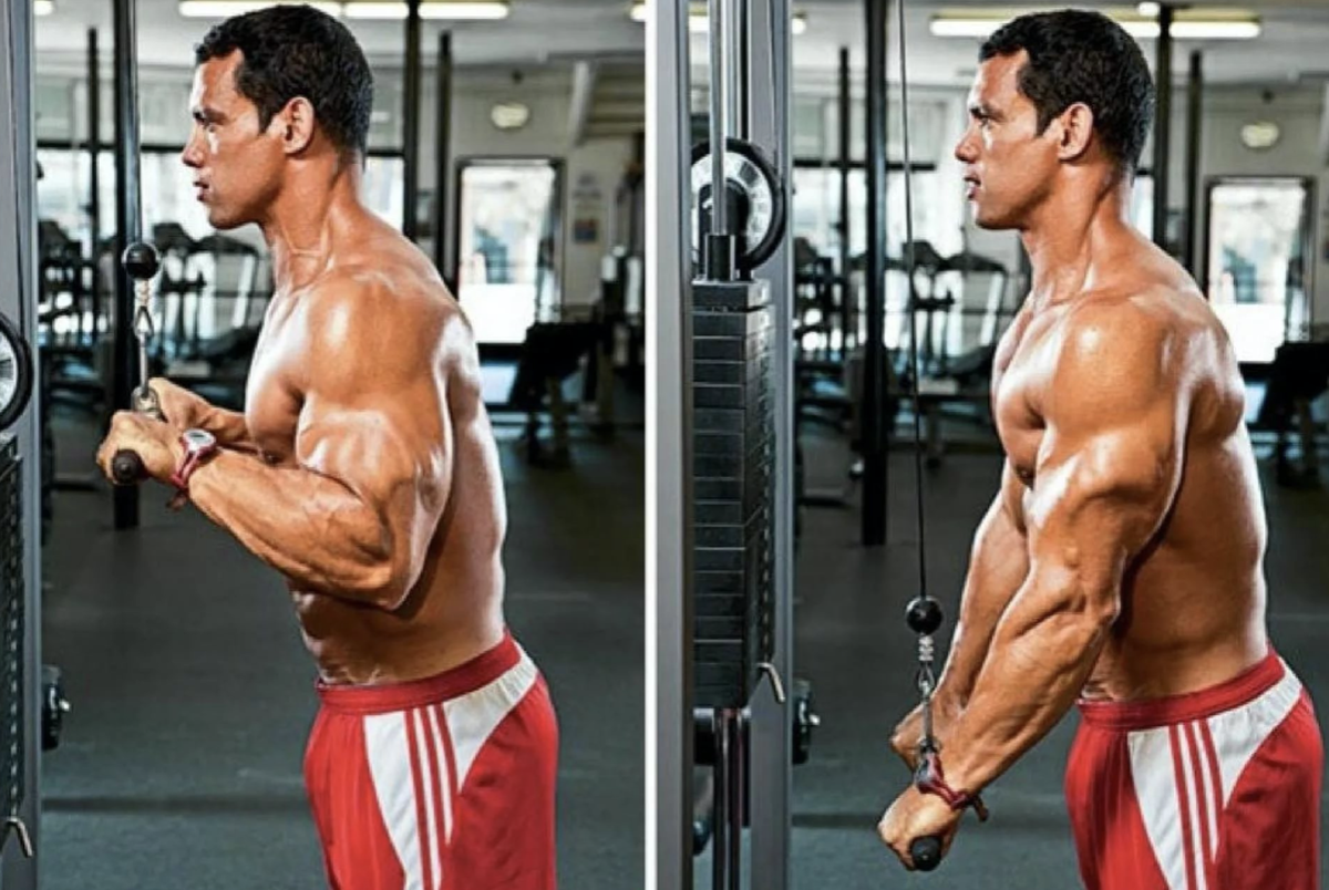 Разгибание на трицепс в кроссовере. Трицепс на верхнем блоке. Трицепсовый жим на верхнем блоке. Разгибание рук с верхнего блока. Тяга блока на трицепс.