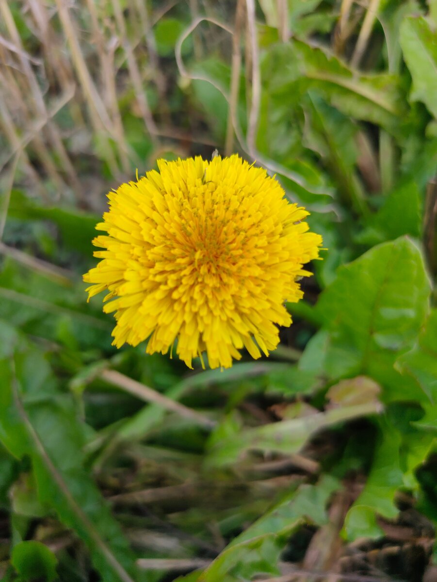 Здесь и далее фото автора, 06.09.2020 Башкирия