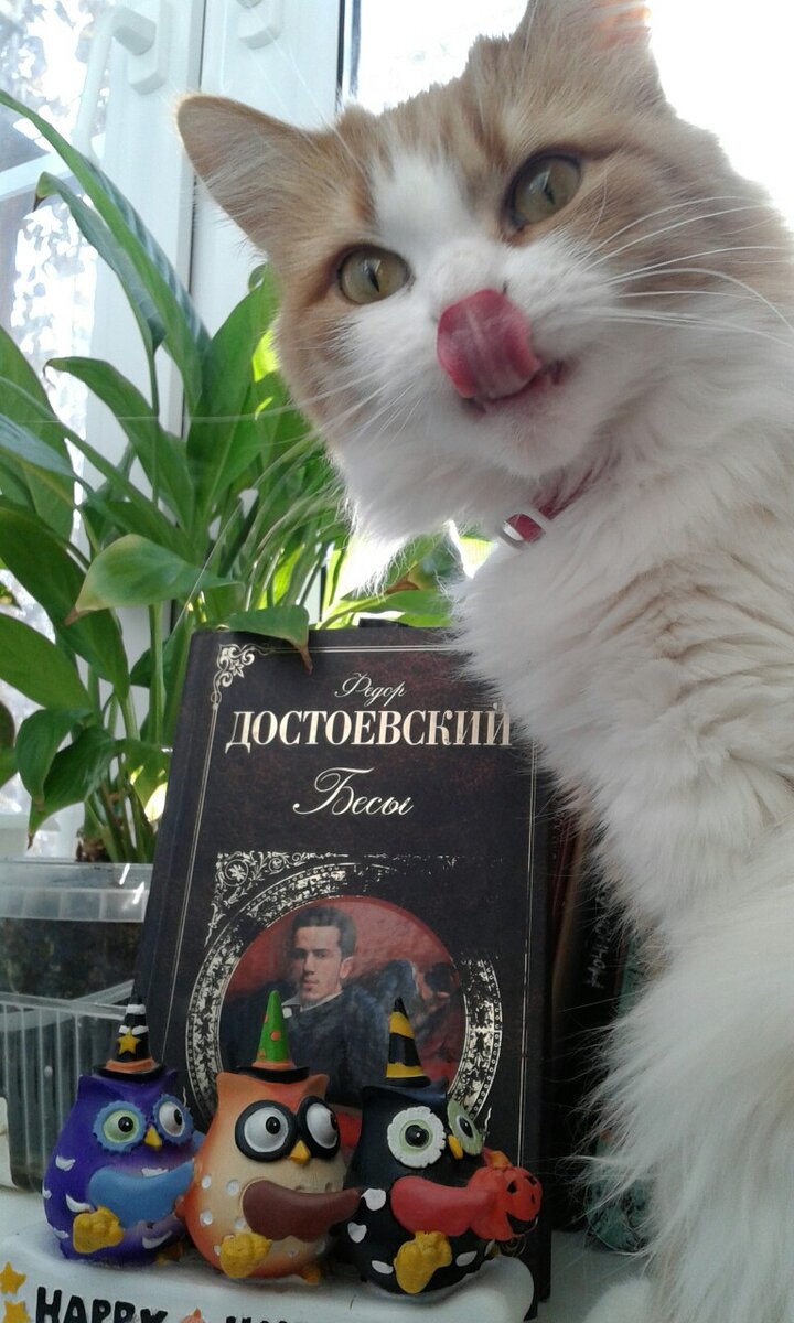 Читатели у Достоевского бывают разные. Некоторые - такие милые.