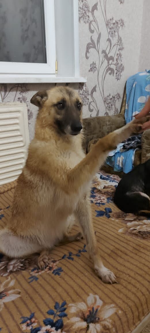 Даночка 