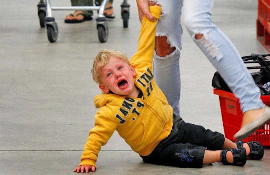 Фото взято из поисковой системы Яндекс