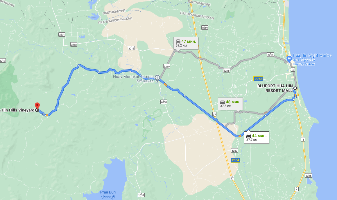 Маршрут до виноградников