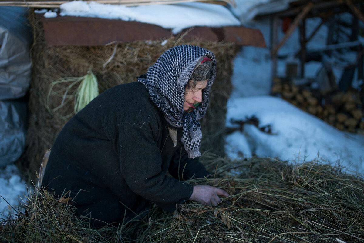 Фото из открытых источников