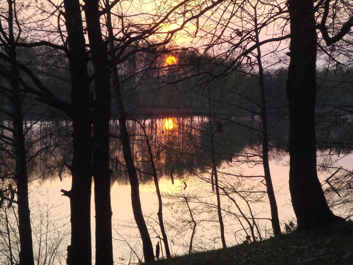 Картинка, взятая из интернета. 