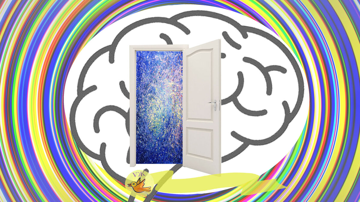 Делитесь своим мнением в комментариях