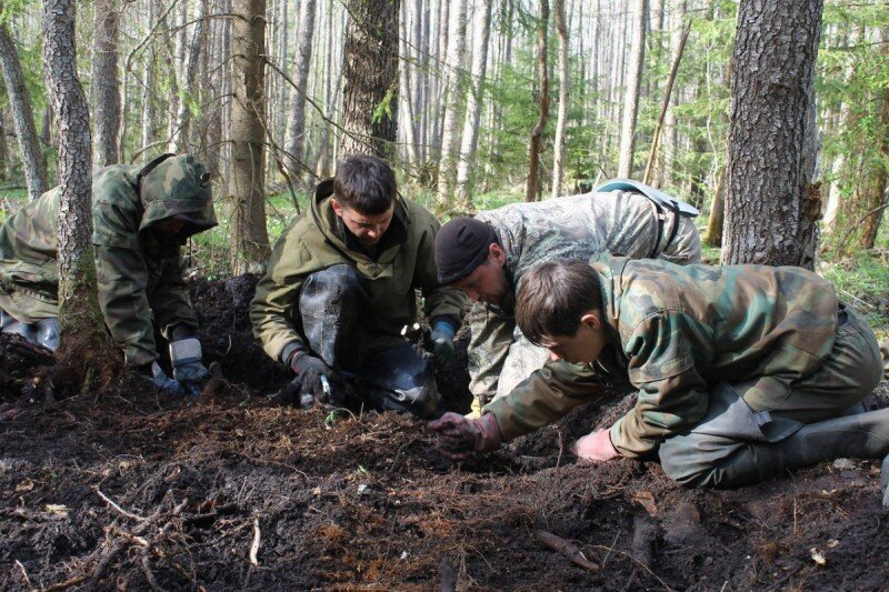 Пропавший без вести солдат. Поисковые отряды Тюменской области. Военно поисковый отряд. Первые поисковые отряды. Поисковые отряды солдат.