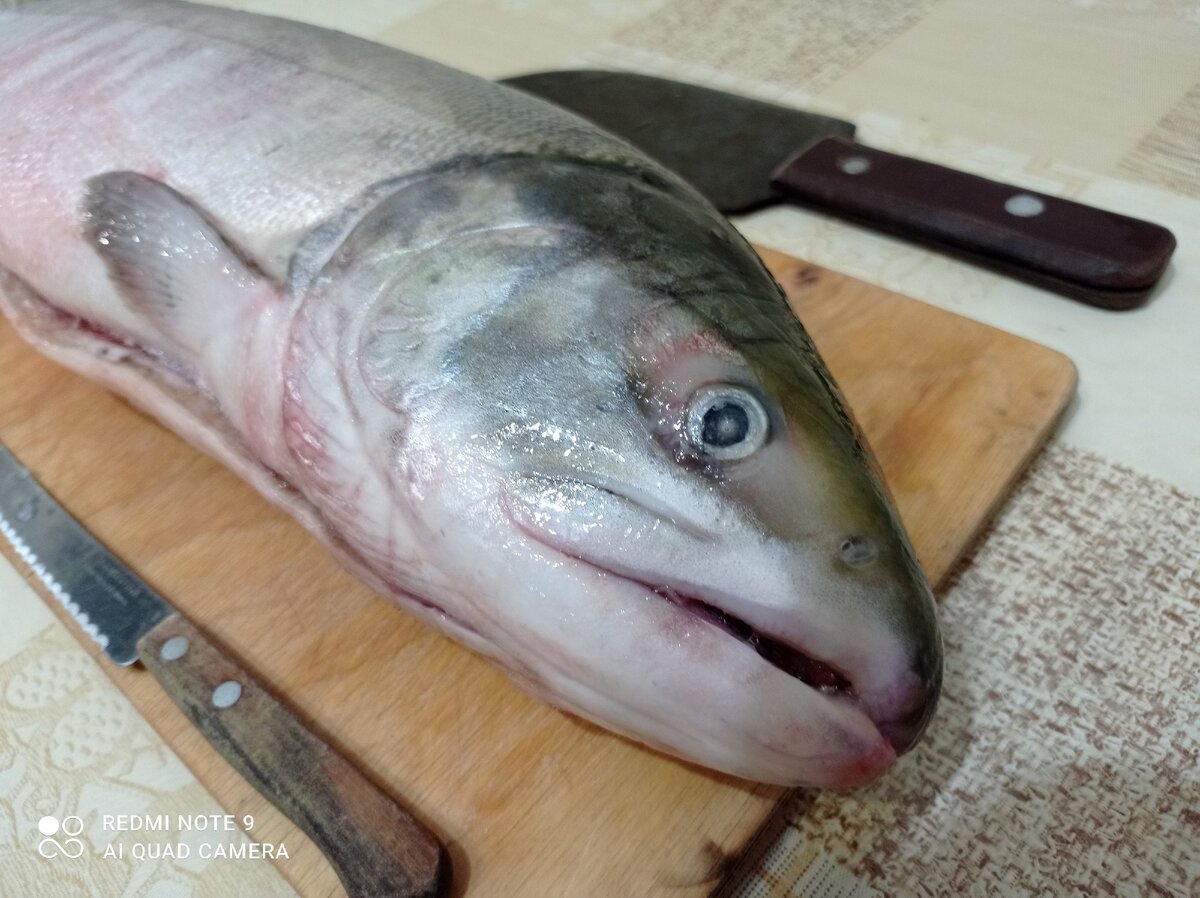 Рыба Кета. Муж купил целую рыбу. 