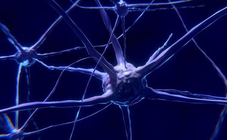 Нейроны и аксоны в человеческом мозгу
