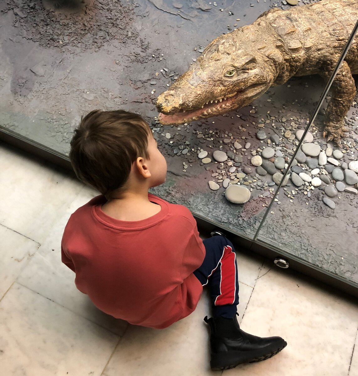 Сын за изучение экспонатов музея