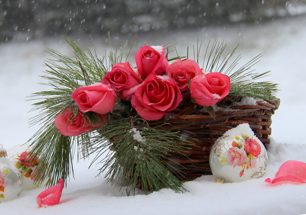 Ставьте лайк и подписывайтесь на мой канал:)