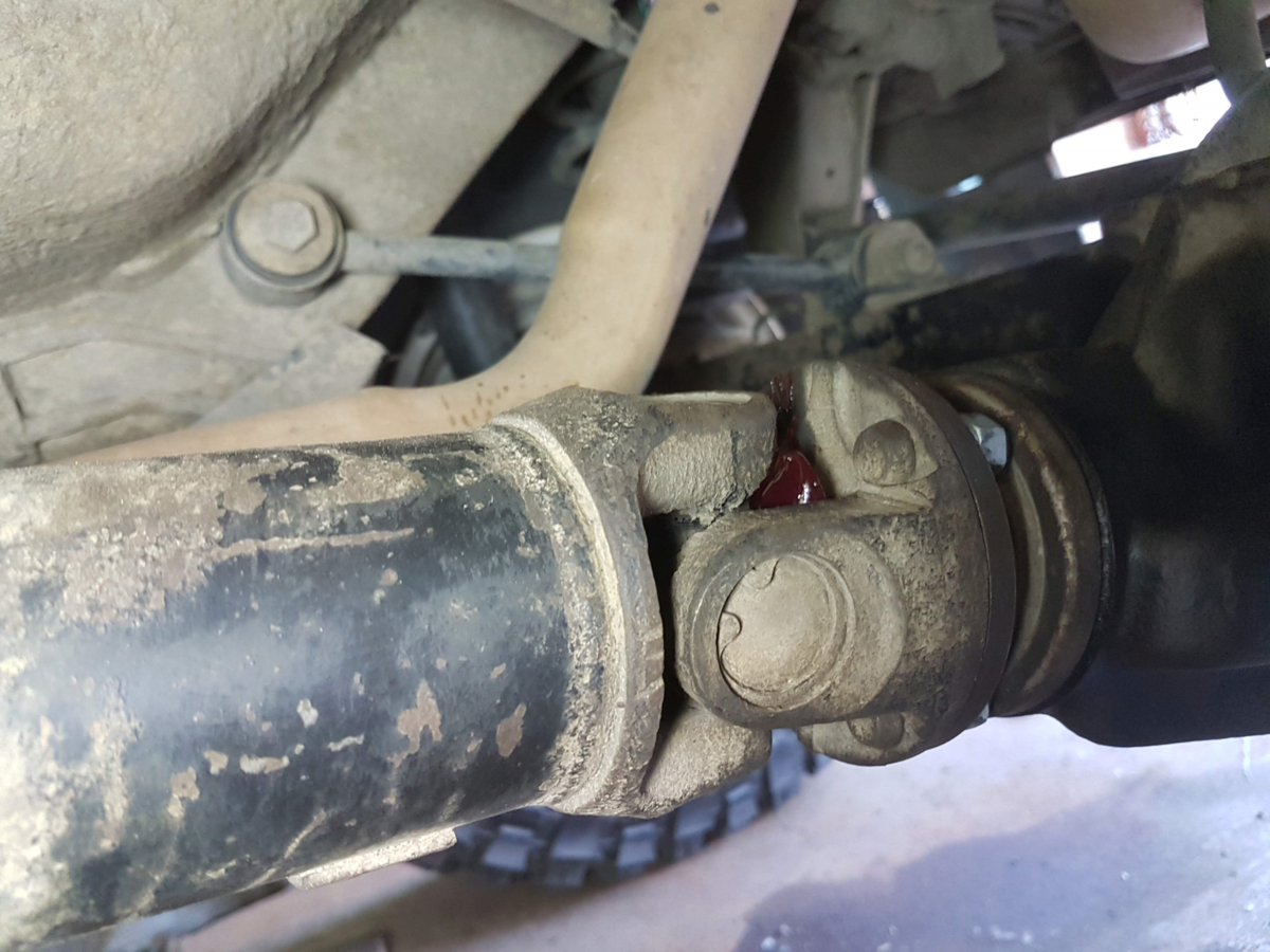 Фото: яндекс.картинки