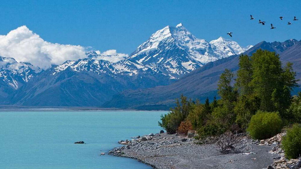 Фото из интернета