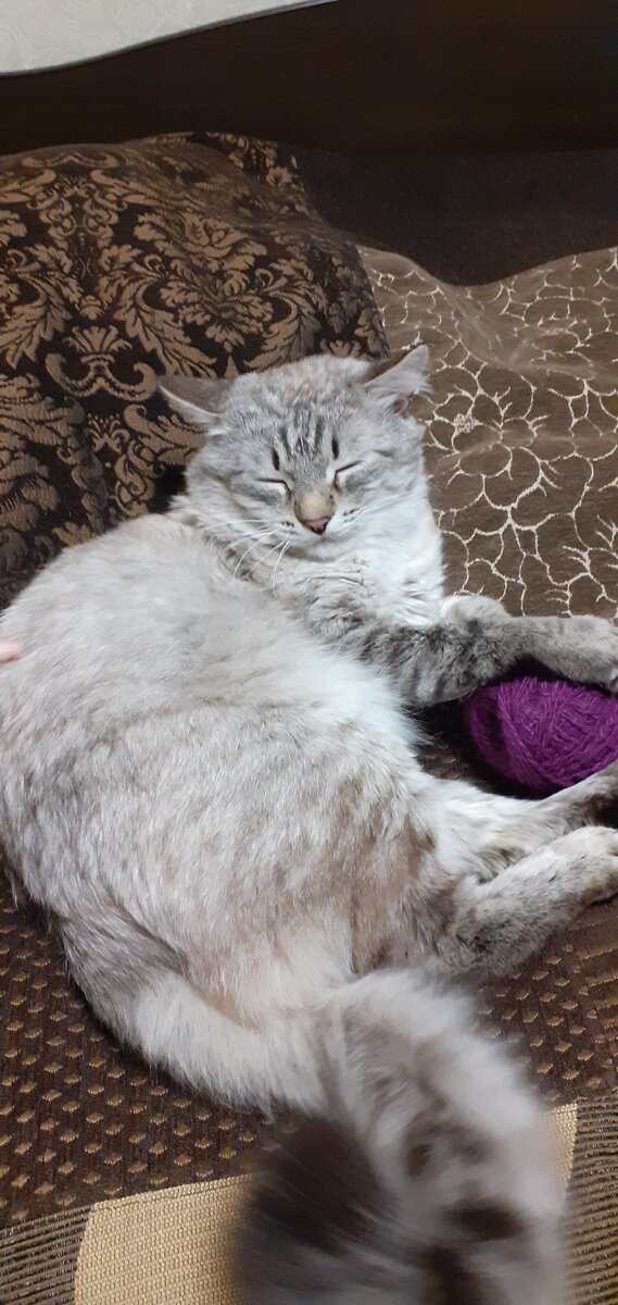 Мой клубочек