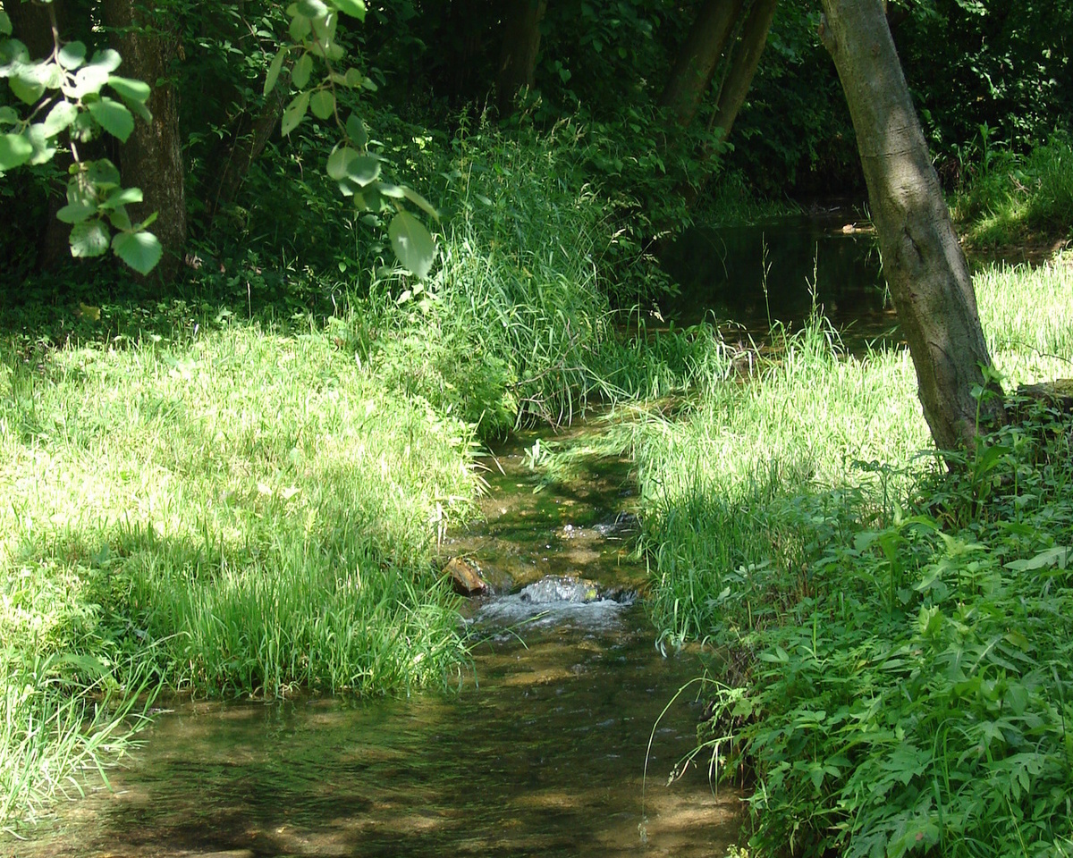 Изображение взято из Интернета