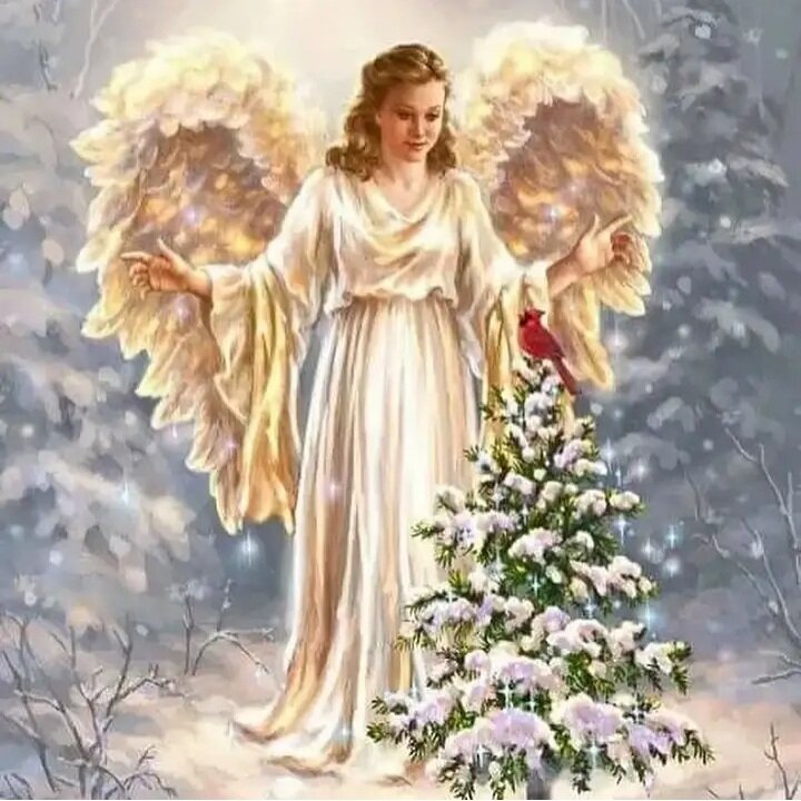 Рождественская истина состоит в том, что мы не одни!🎄©️